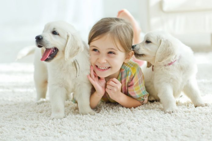 Pets Can Help You Stay Happier and Healthier